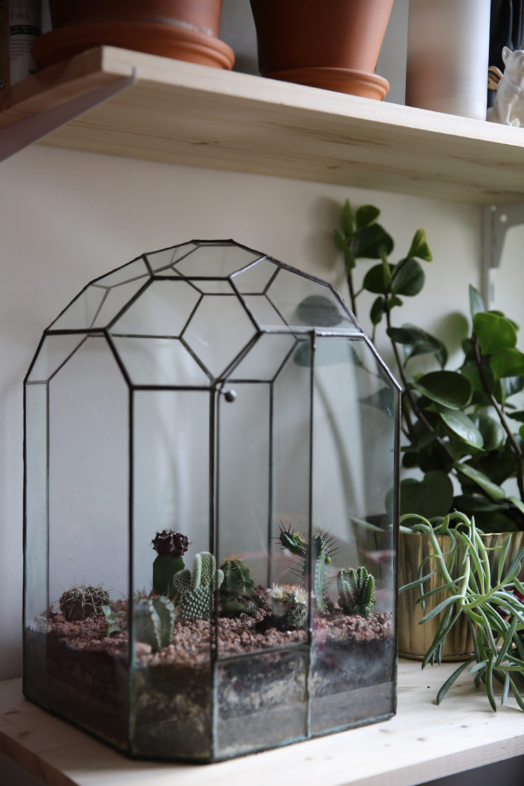 RÉALISER UN TERRARIUM DE CACTUS Le blog mode de Stéphanie Zwicky